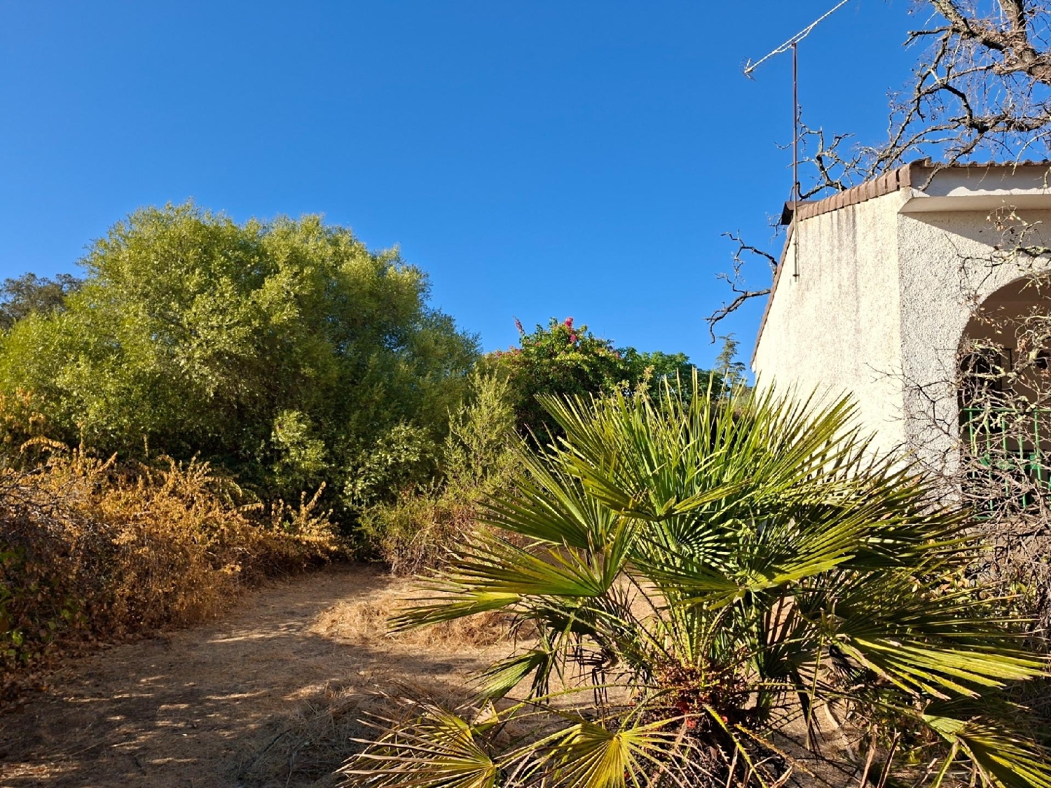  for sale house Guillena Sierra Norte 7