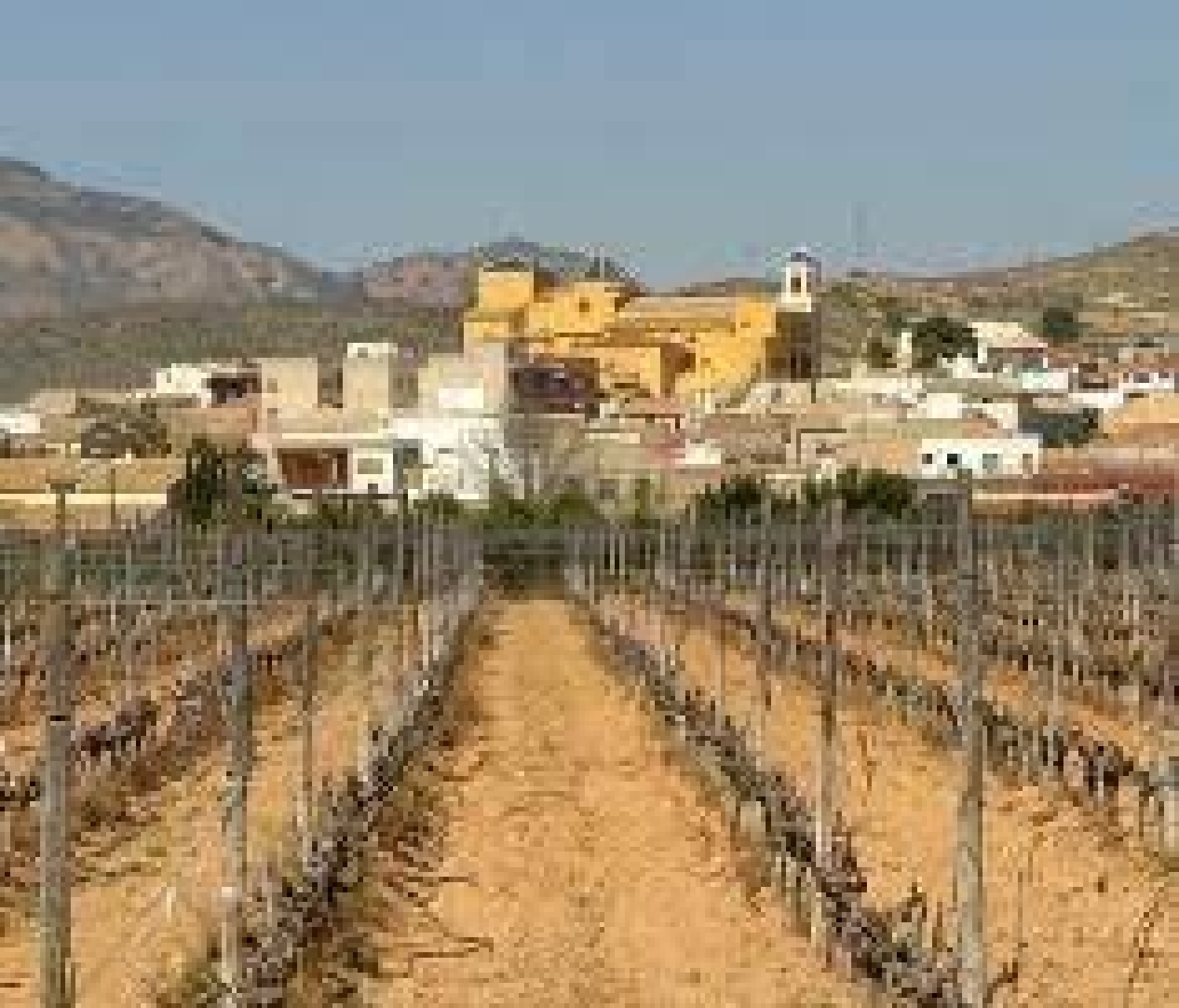  à vendre maison Hondón De Las Nieves Vinalopó Mitjà 11