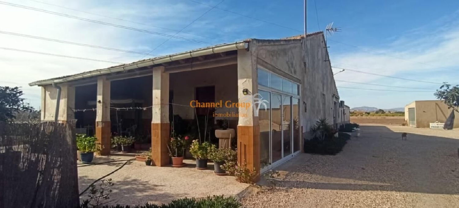  for sale house Hoya-Gonzalo Monte Ibérico Almansa 2