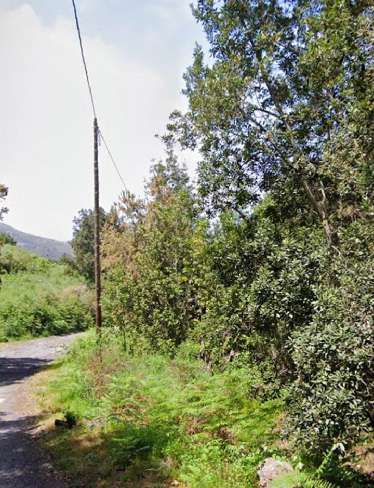  till salu hus Icod De Los Vinos Zona Norte 8