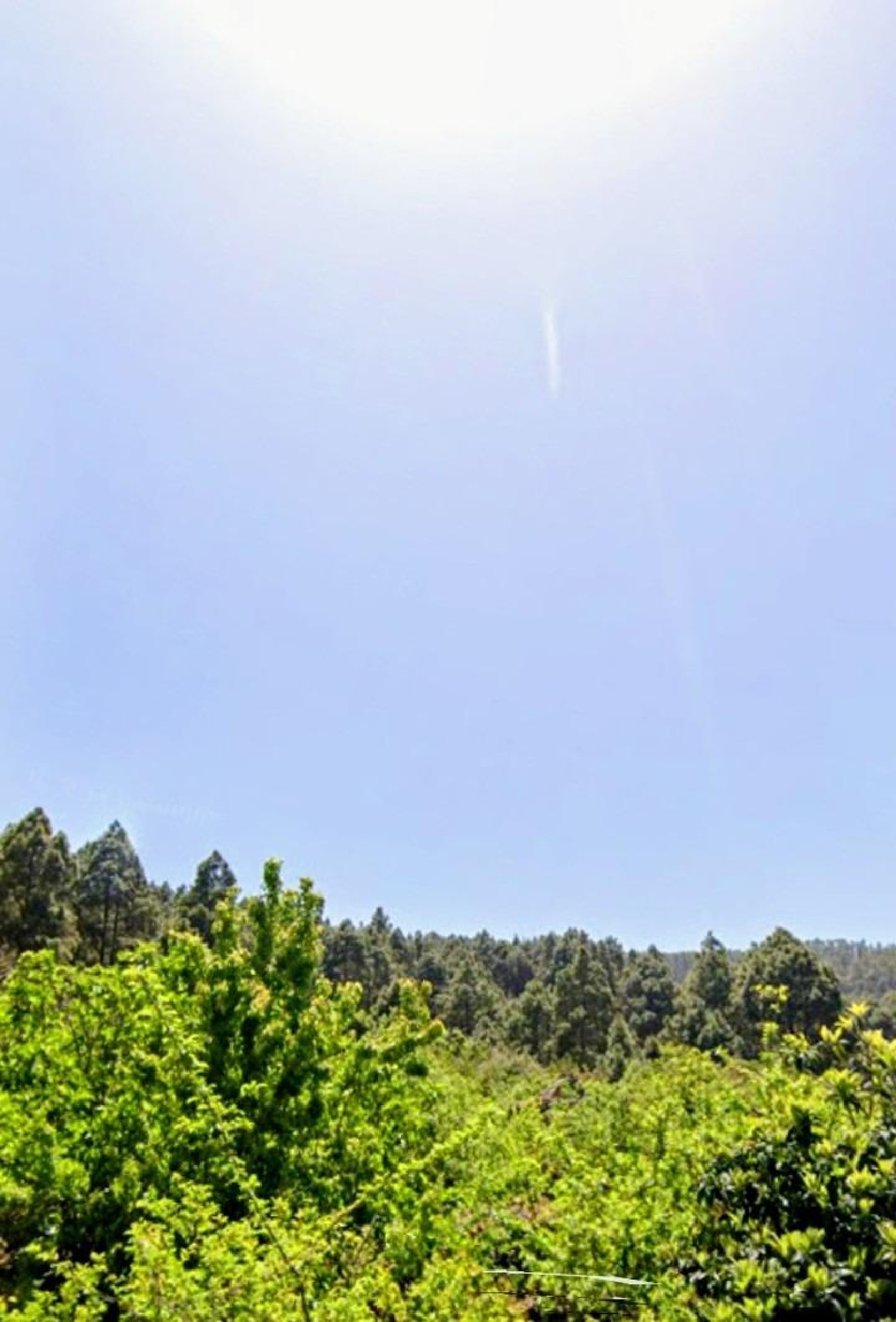  for sale house Icod De Los Vinos Zona Norte 1
