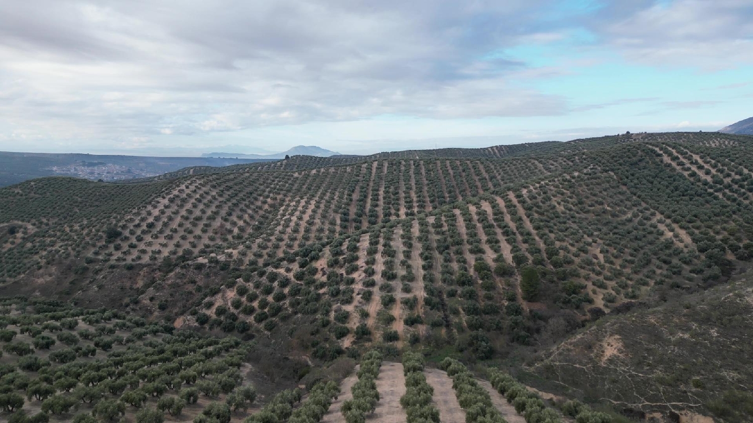  kaufen Haus Iznalloz Montes (Los) 6