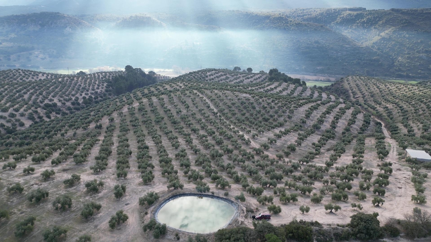  kaufen Haus Iznalloz Montes (Los) 2