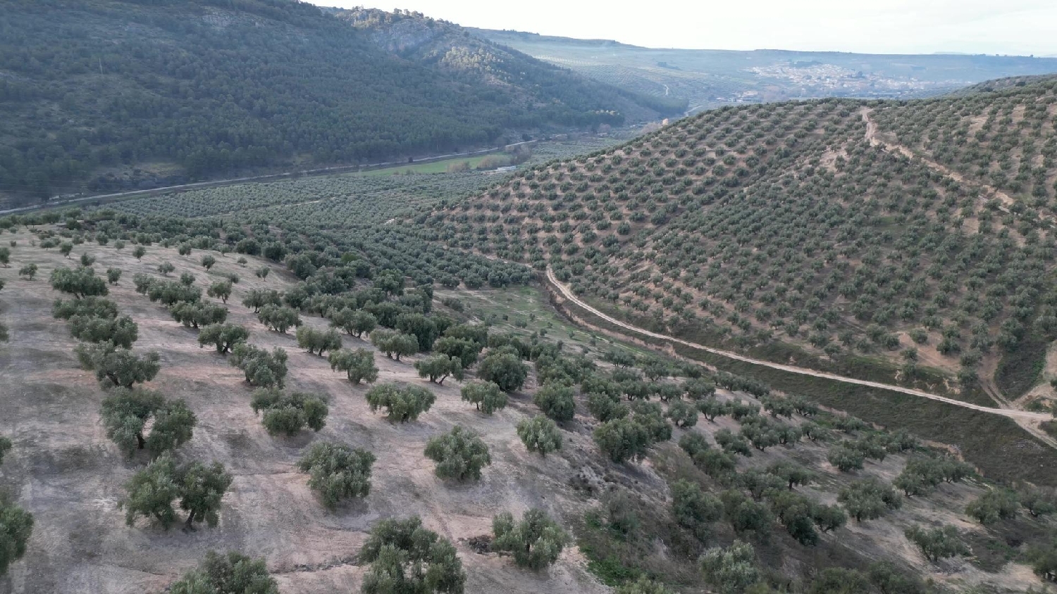  kaufen Haus Iznalloz Montes (Los) 3