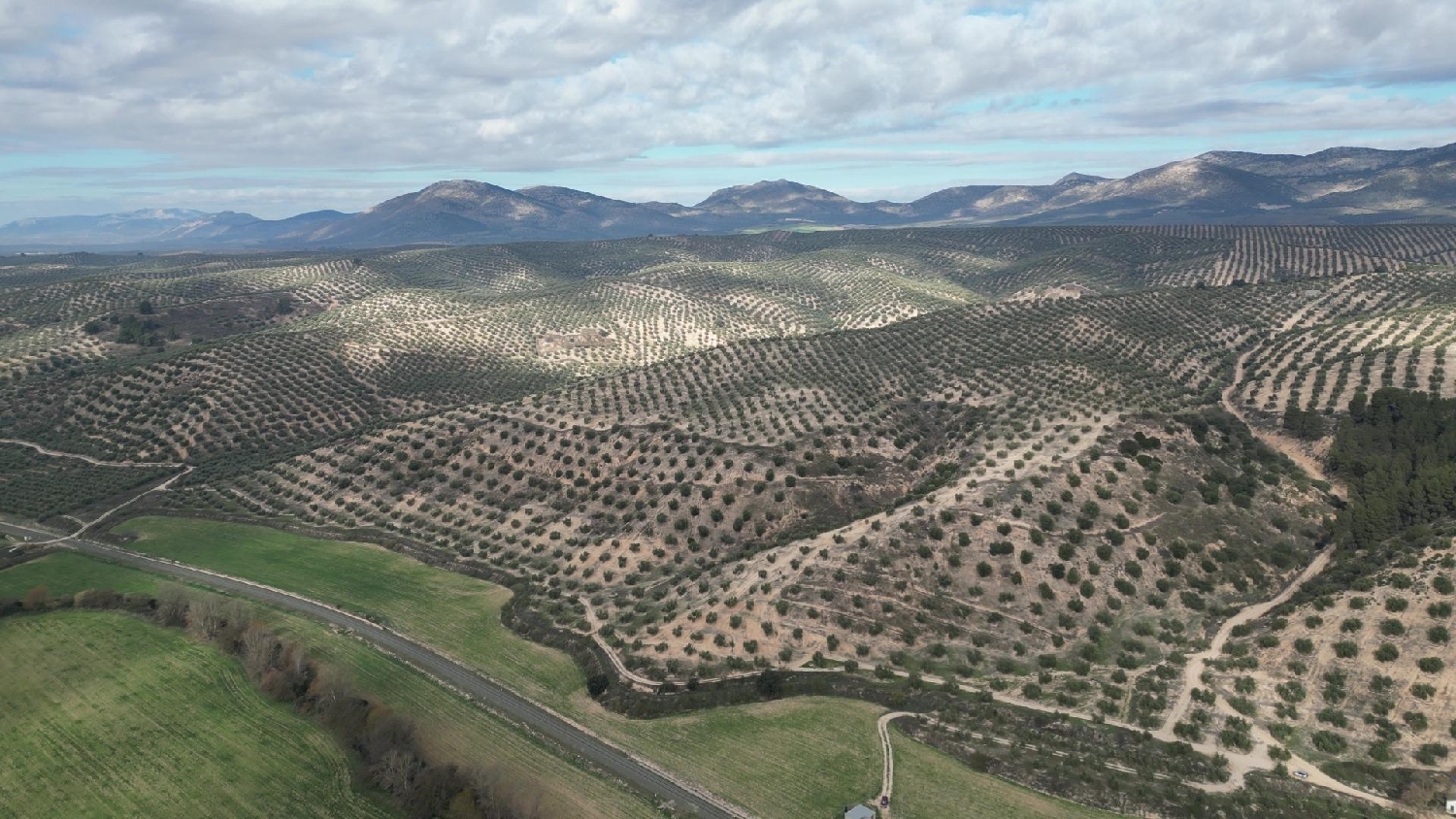  kaufen Haus Iznalloz Montes (Los) 1