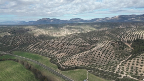 Iznalloz Montes (Los) Haus Bild 6317969