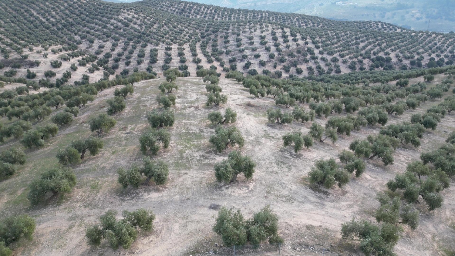  kaufen Haus Iznalloz Montes (Los) 7