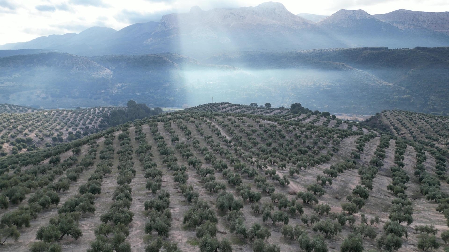  kaufen Haus Iznalloz Montes (Los) 8