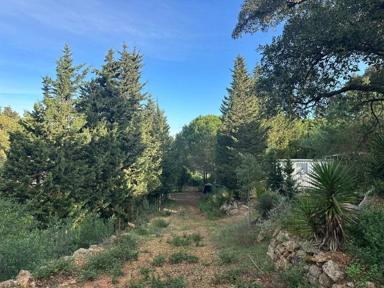  kaufen Haus Los Barrios Campo De Gibraltar 7