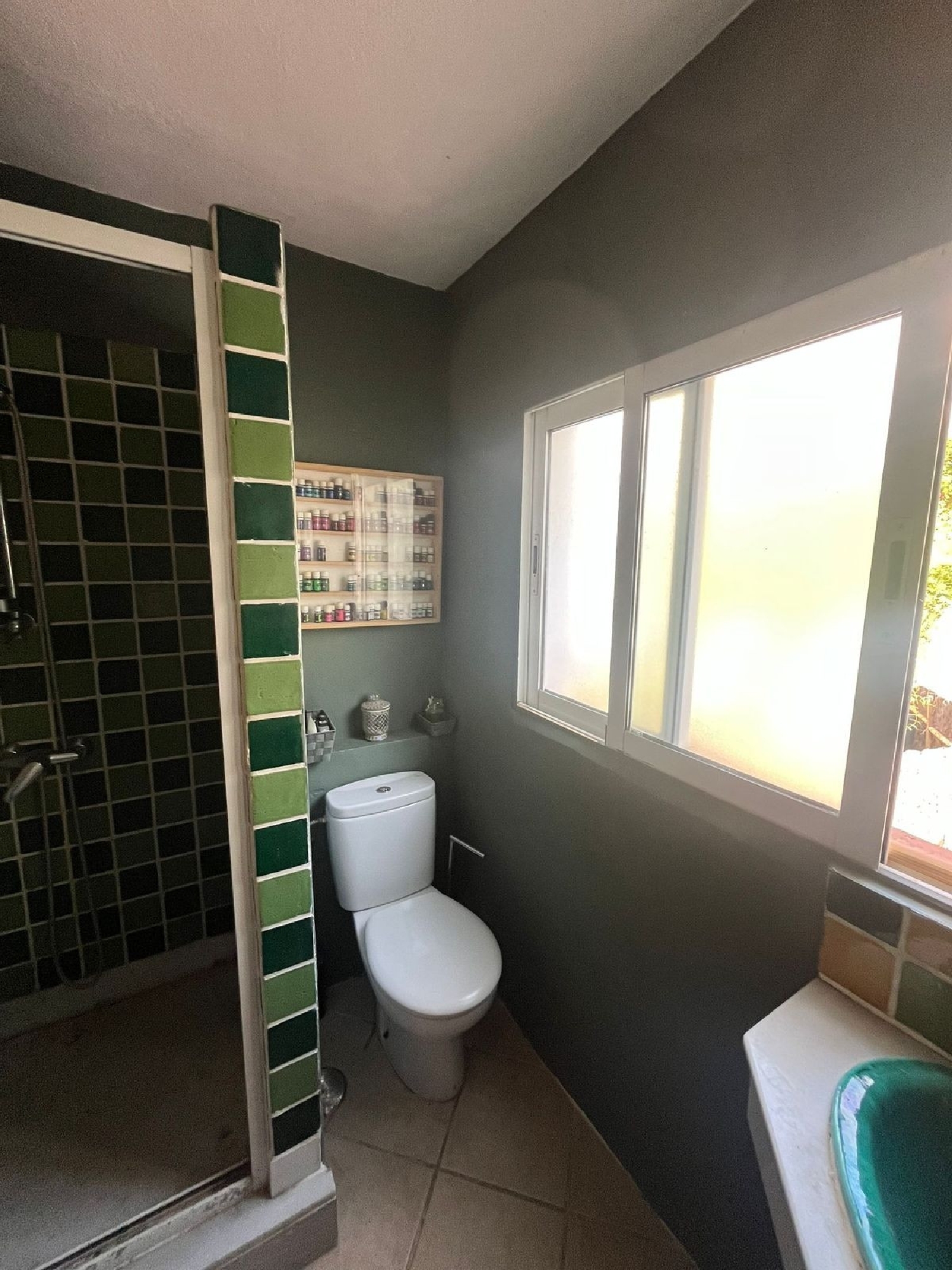  kaufen Haus Manilva Costa Del Sol Occidental 4