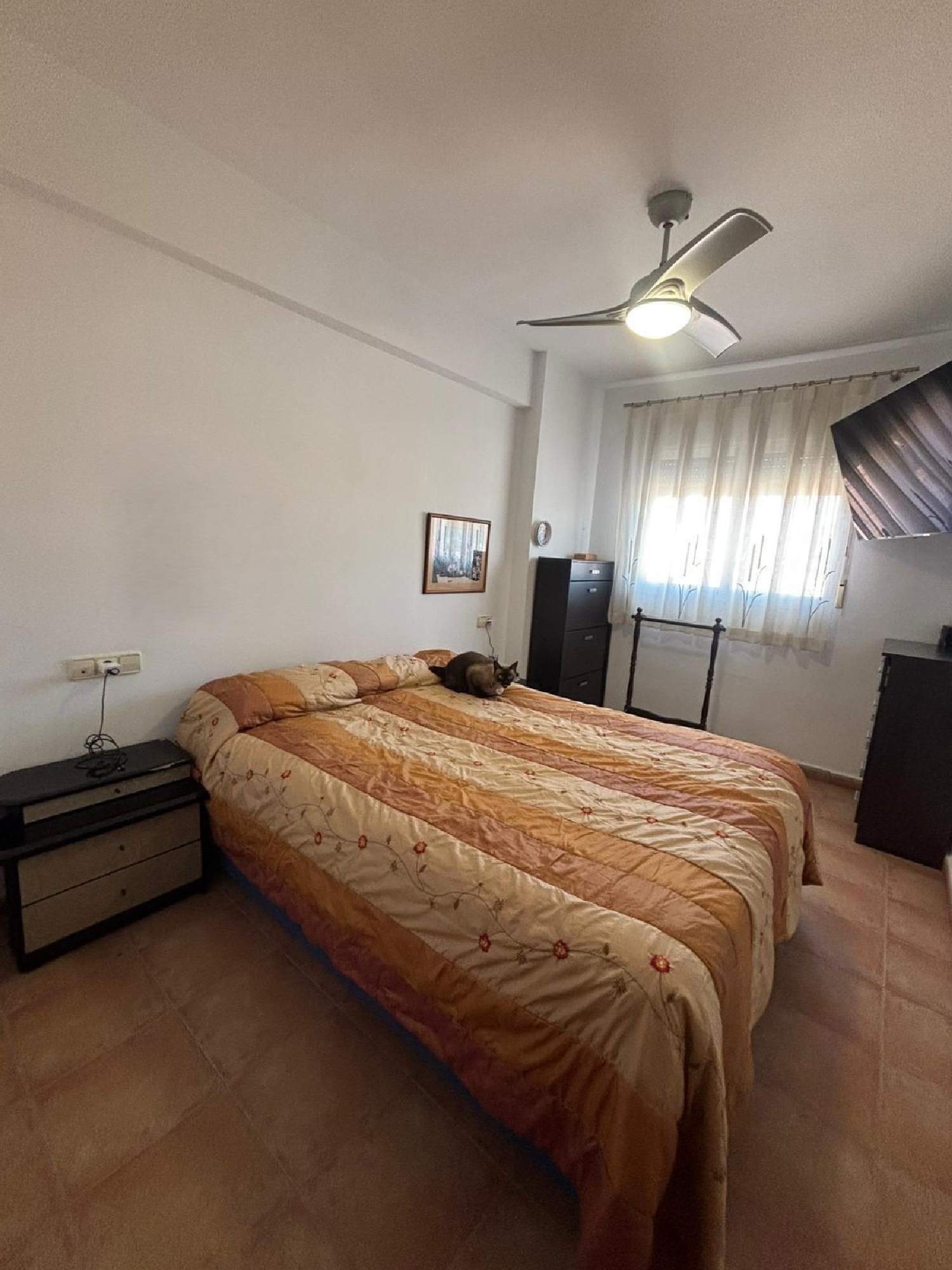  à vendre maison Molina De Segura Vega Media Del Segura 7