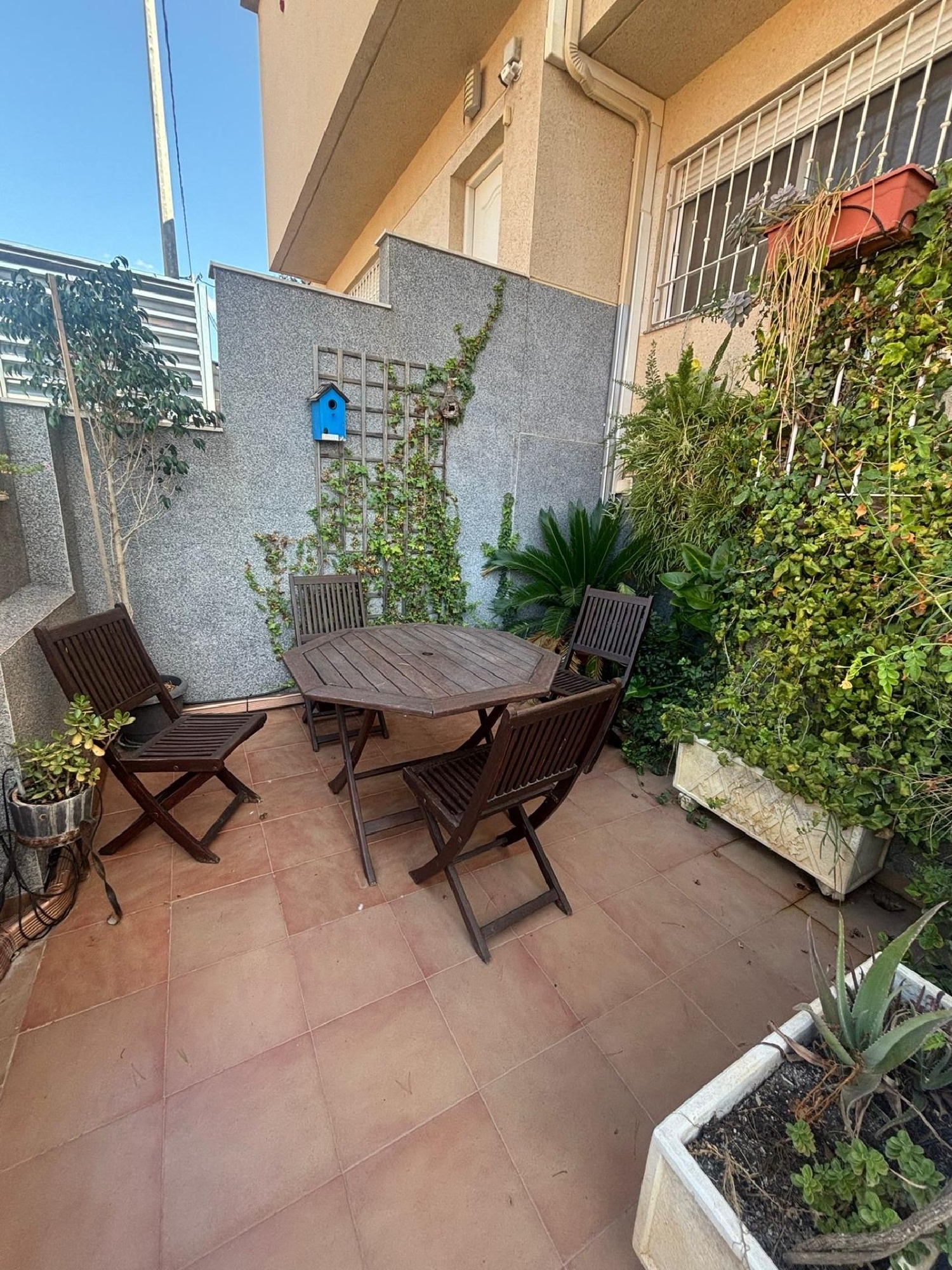  à vendre maison Molina De Segura Vega Media Del Segura 3