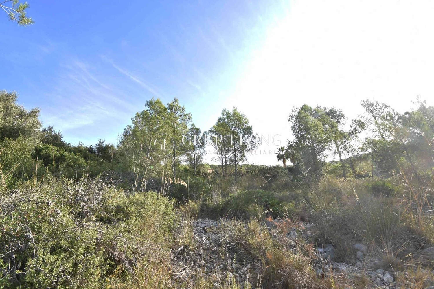  for sale house Olivella Garraf 8