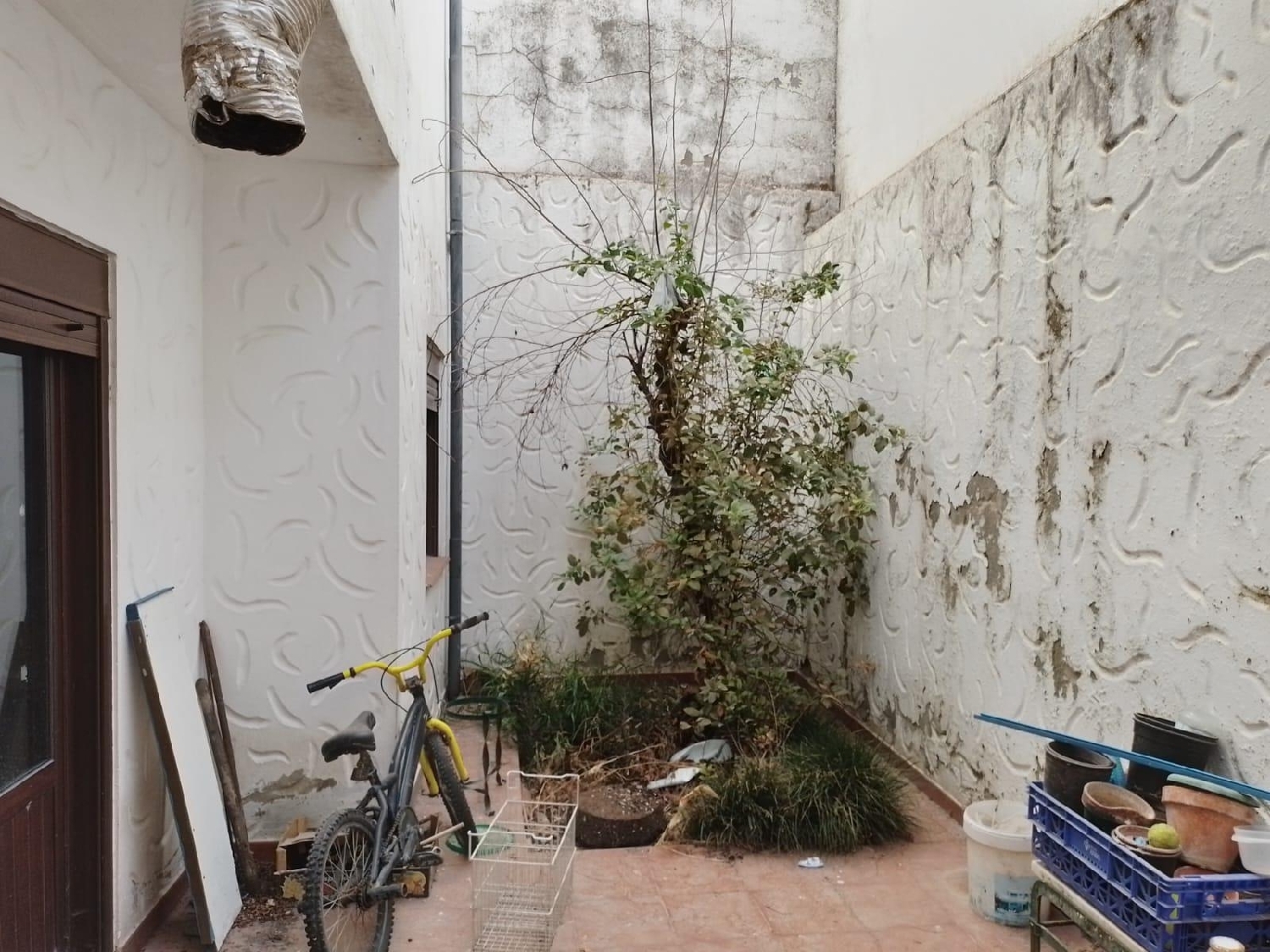 kaufen Haus Prado Del Rey Sierra De Cádiz 8