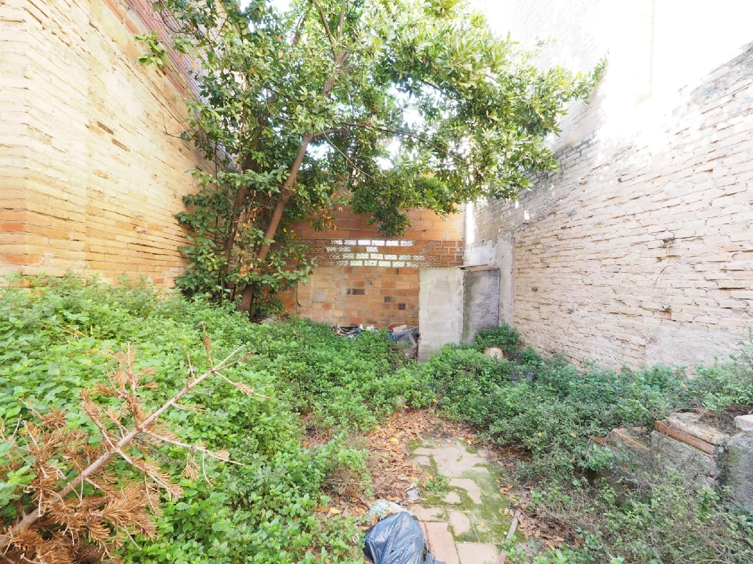  for sale house Sant Pere De Riudebitlles Alt Penedès 6