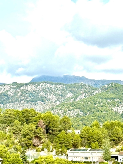 Selva Raiguer Haus Bild 6307230
