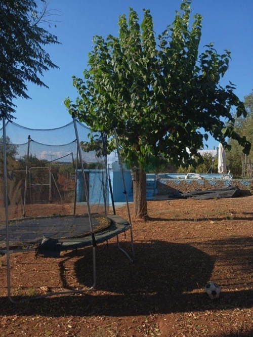 Sevilla La Nueva Sur house foto 6319366