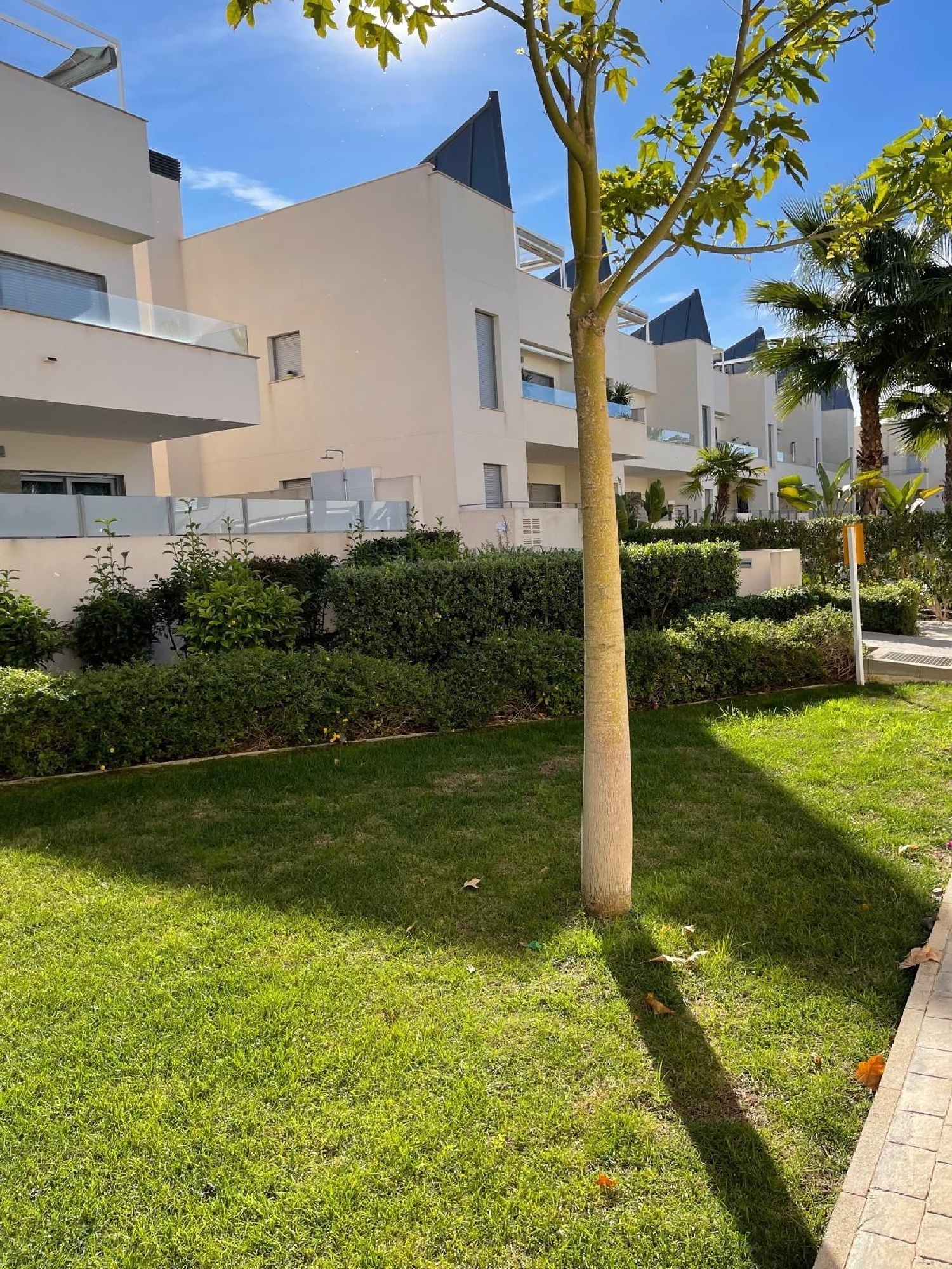  à vendre maison Torrevieja Baix Segura 6