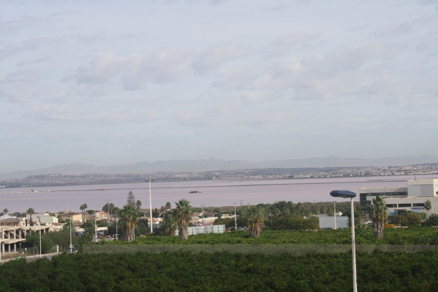  kaufen Haus Torrevieja Baix Segura 26