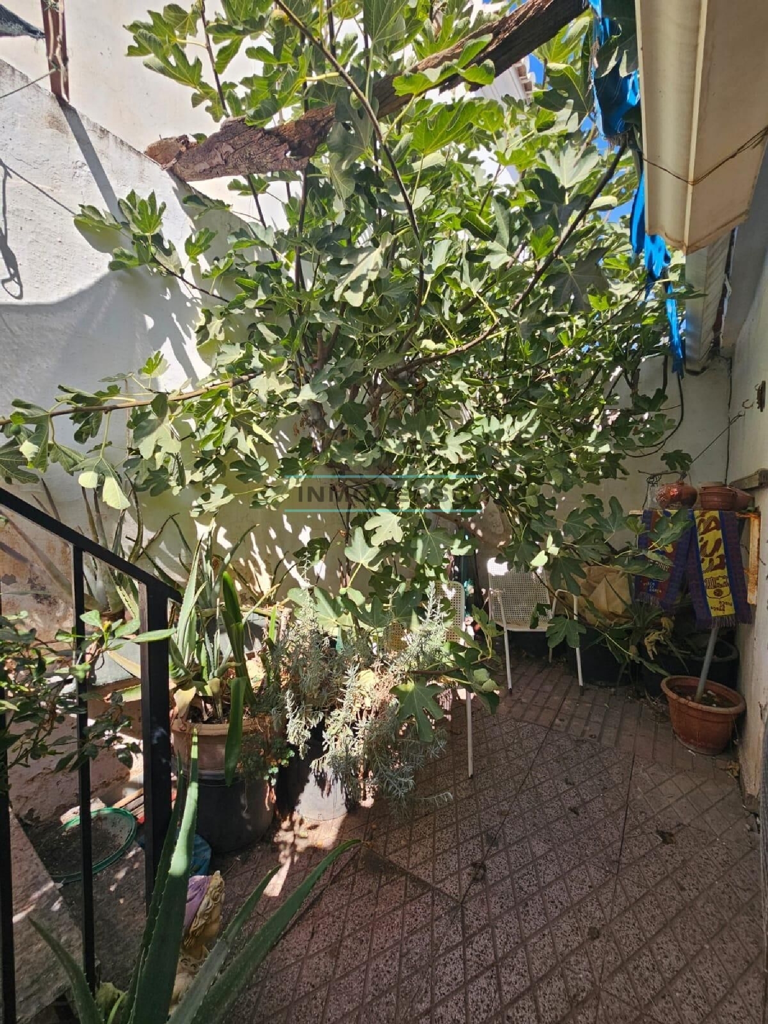  à vendre maison Vélez Blanco Comarca De Los Vélez 3
