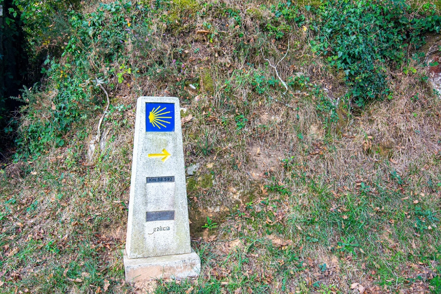  à vendre maison Vilasantar Betanzos 5