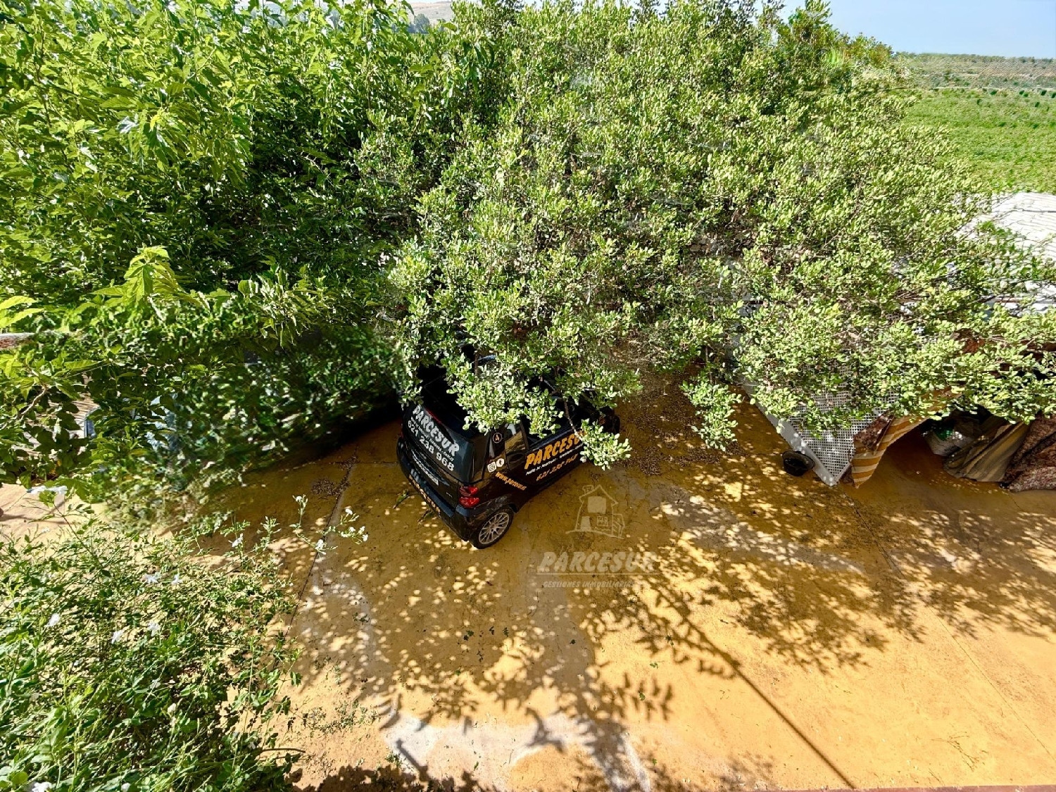  kaufen Haus Villafranca De Córdoba Alto Guadalquivir 5