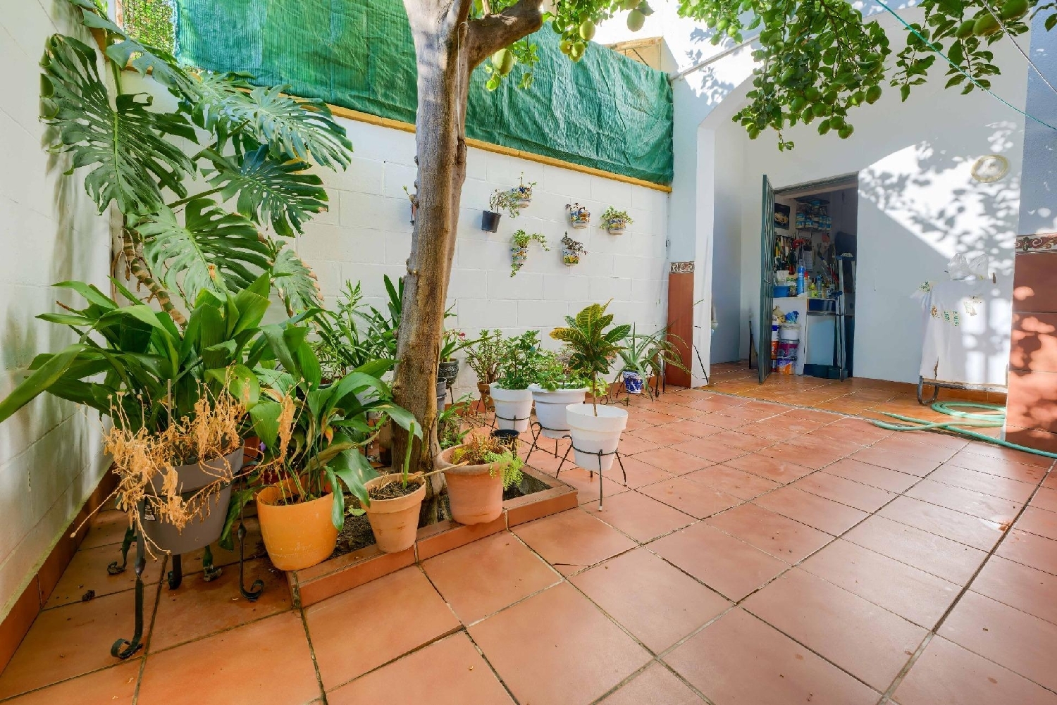 for sale house Villanueva Del Ariscal Aljarafe 8