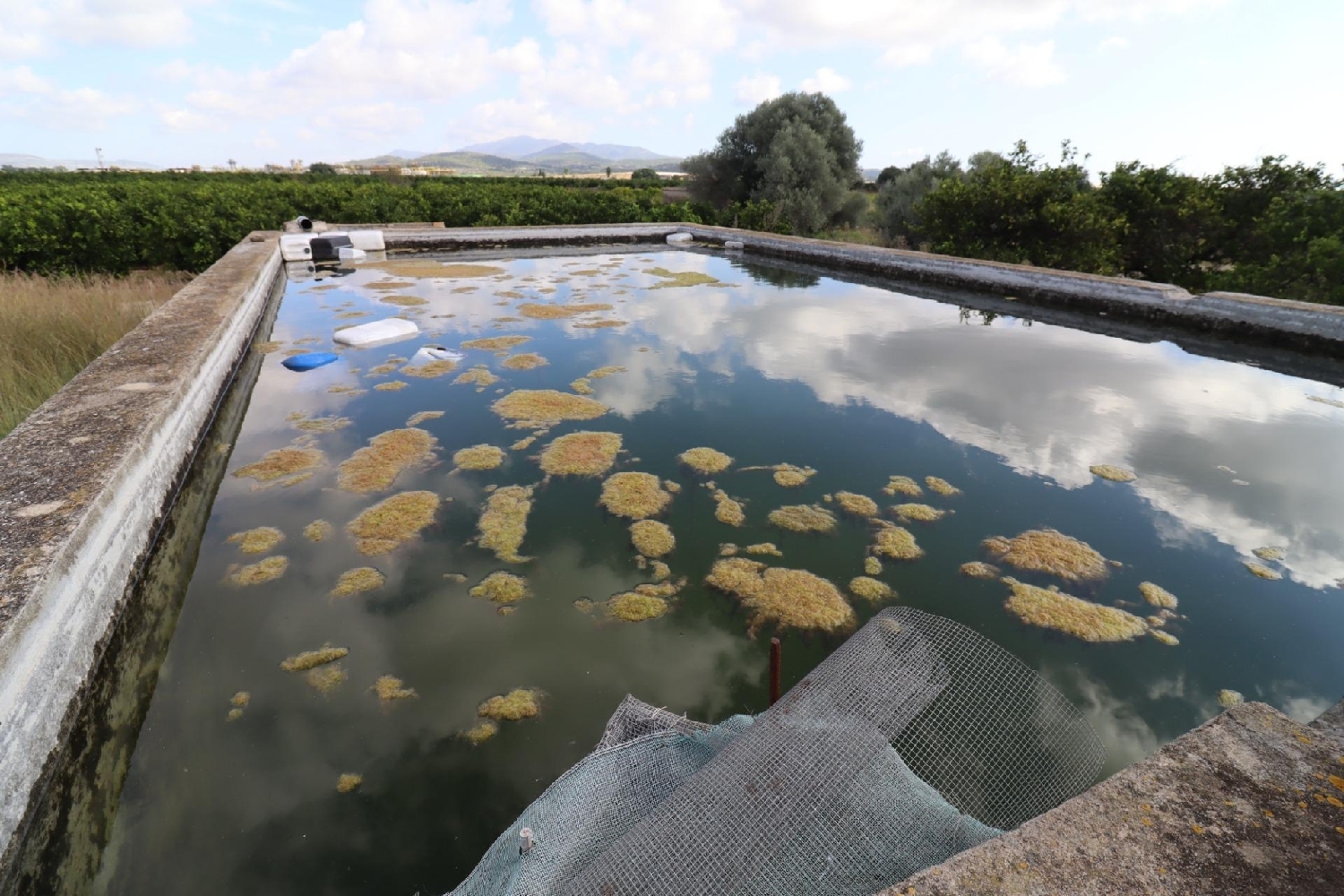 kaufen Haus Vinaros Baix Maestrat 2