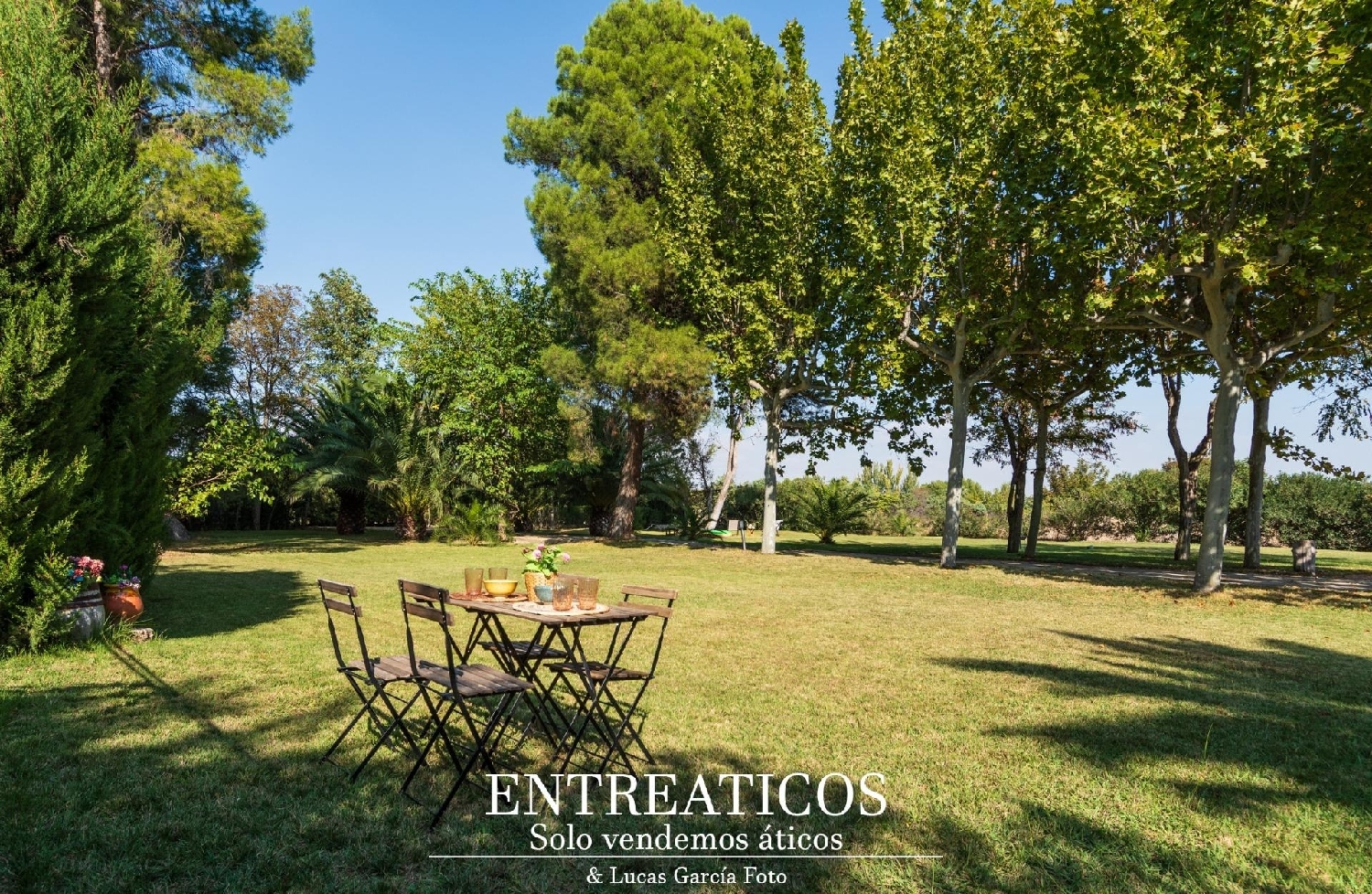 kaufen Haus Zaragoza Centro 50004 D.C. Zaragoza 4