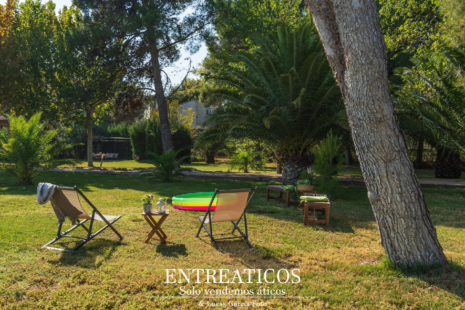 kaufen Haus Zaragoza Centro 50004 D.C. Zaragoza 7