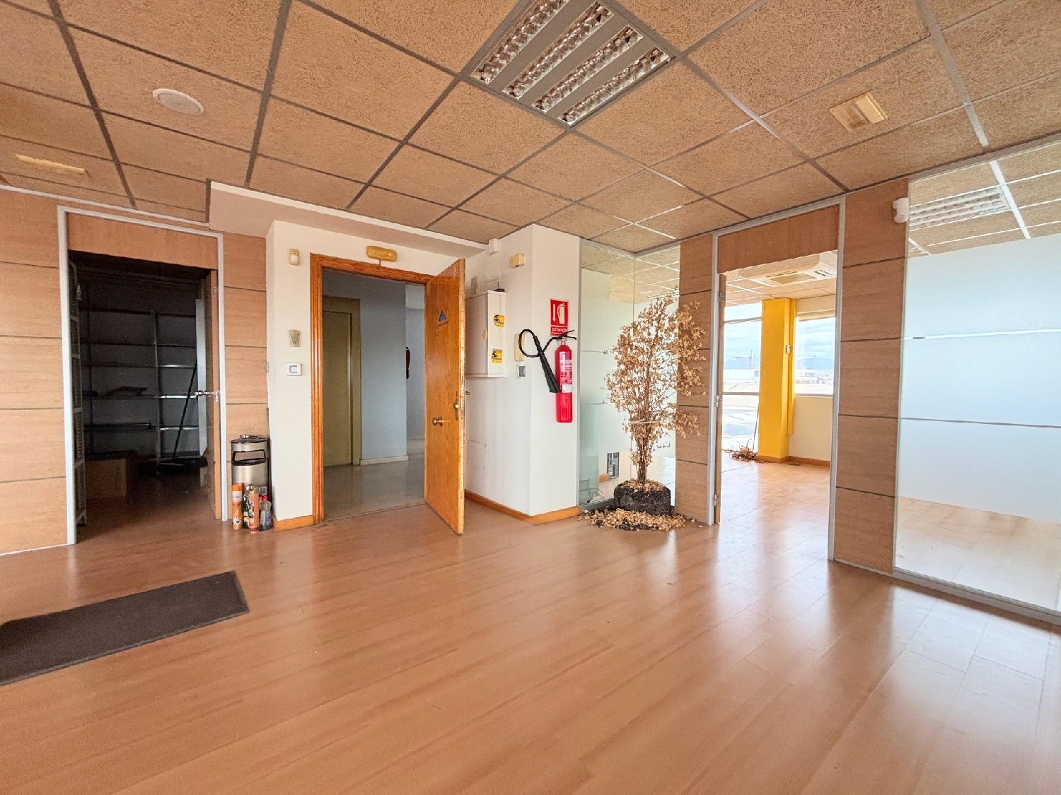  en venta oficina Alicante Centro 03001 Alacantí 4