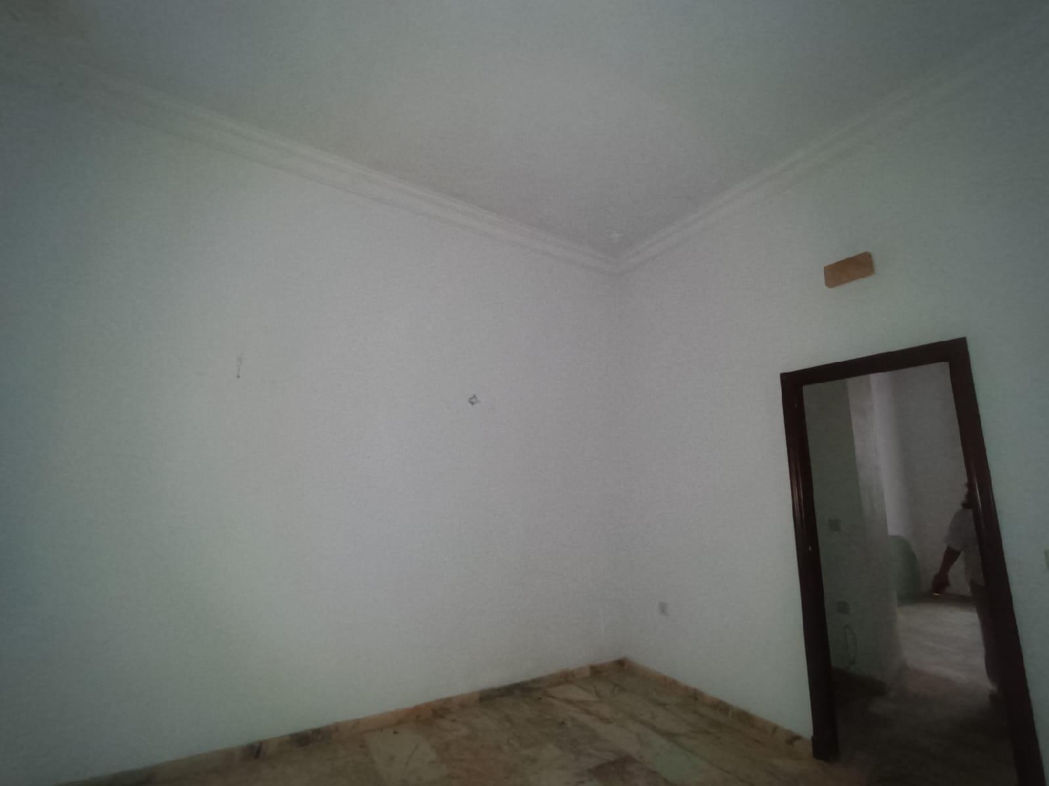  for sale office Picadizo Sar 5