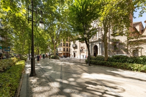Barrio De Granada Alacantí Parkplatz Bild 6312684