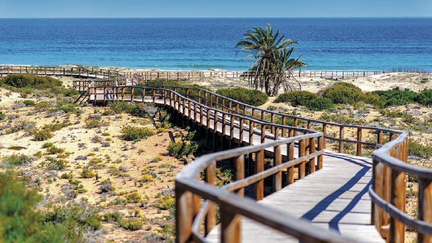  à vendre penthouse Monforte Del Cid Vinalopó Mitjà 23