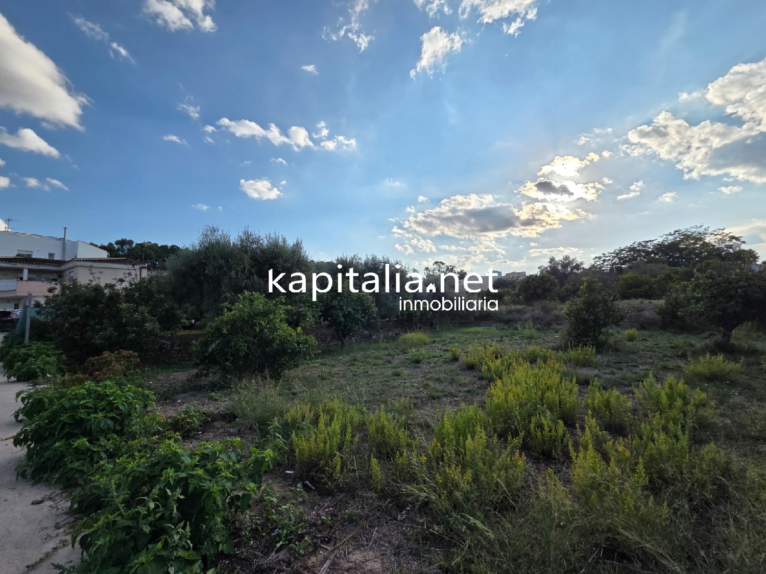 te koop perceel Agullent Vall D'albaida 5