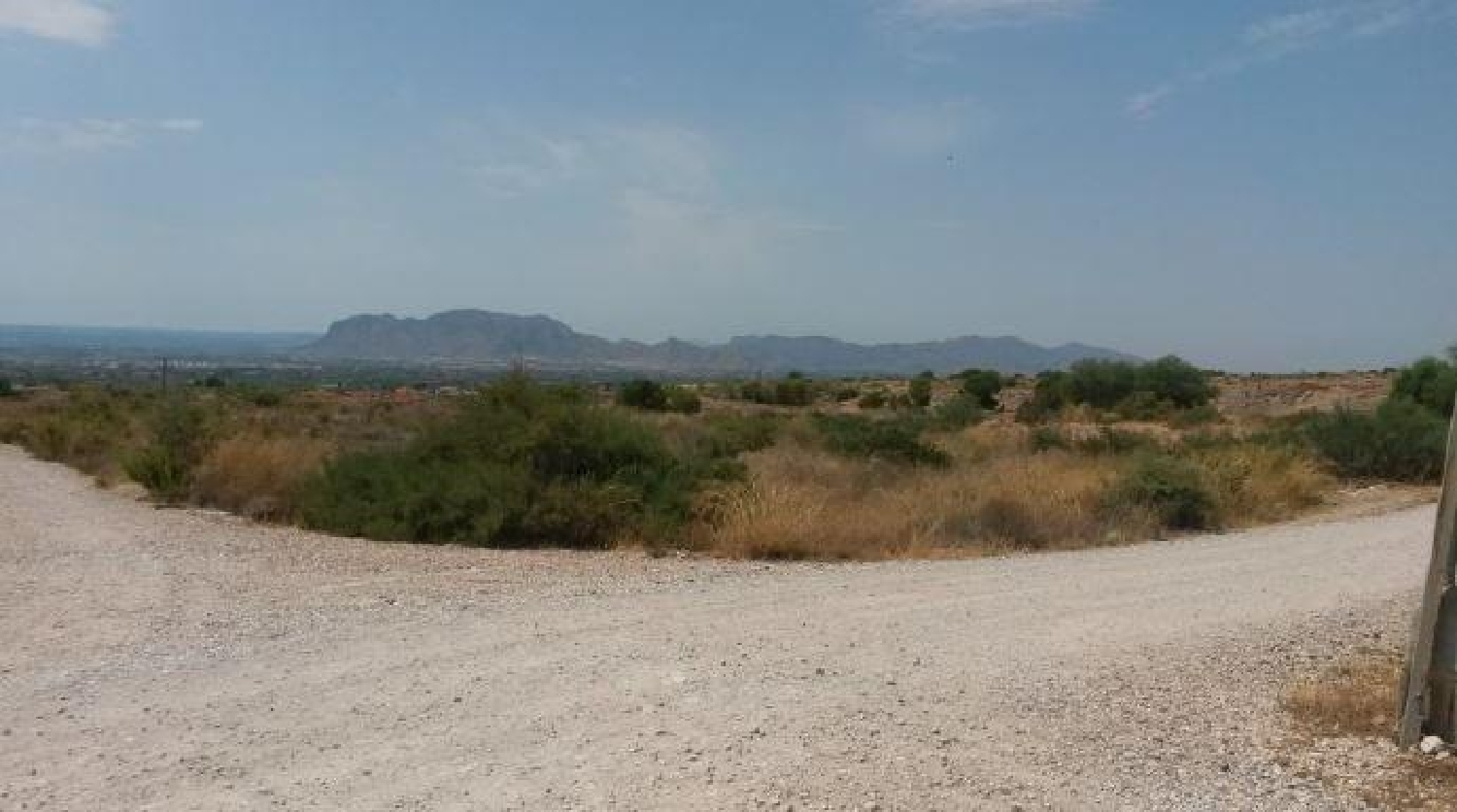  à vendre terrain Albatera Baix Segura 6