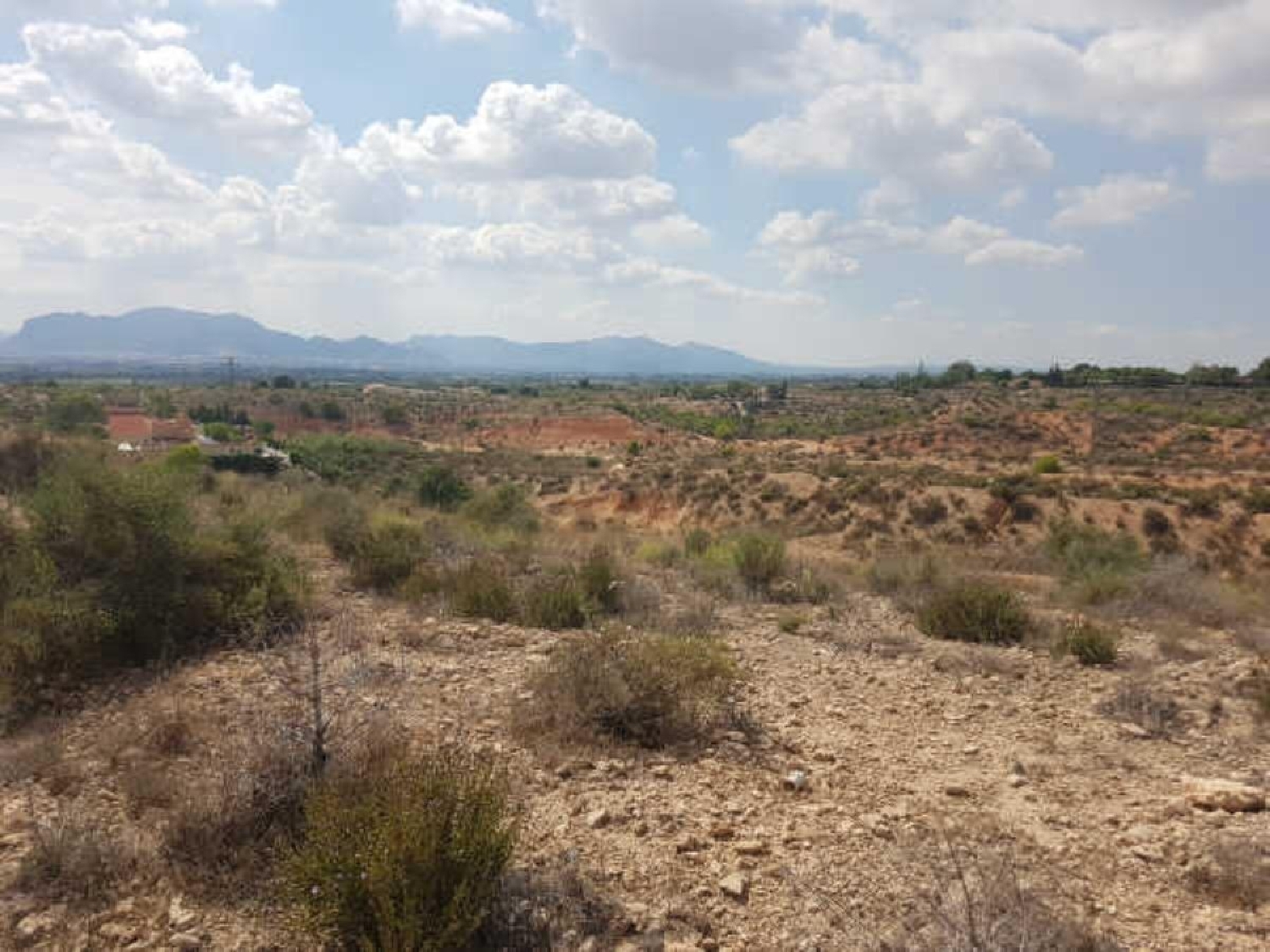  à vendre terrain Albatera Baix Segura 5