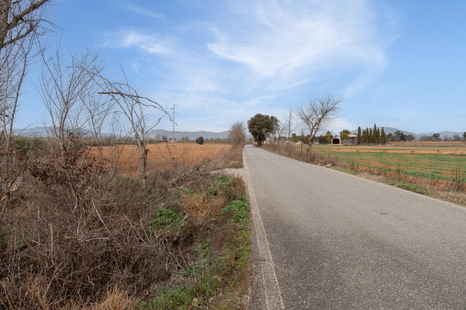  kaufen Grundstück Albolote Vega De Granada 7