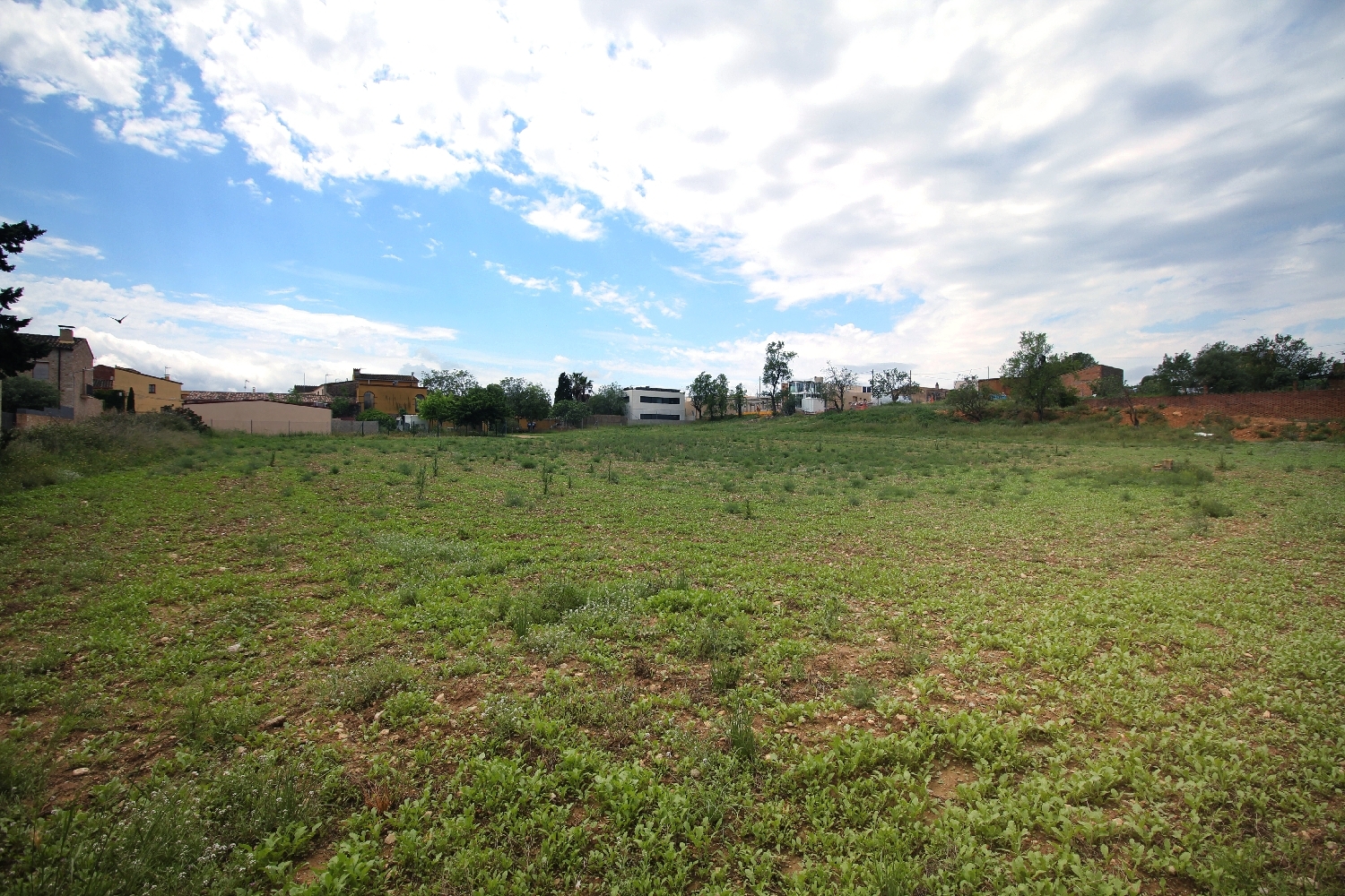  en venta terreno Albons Baix Empordà 3