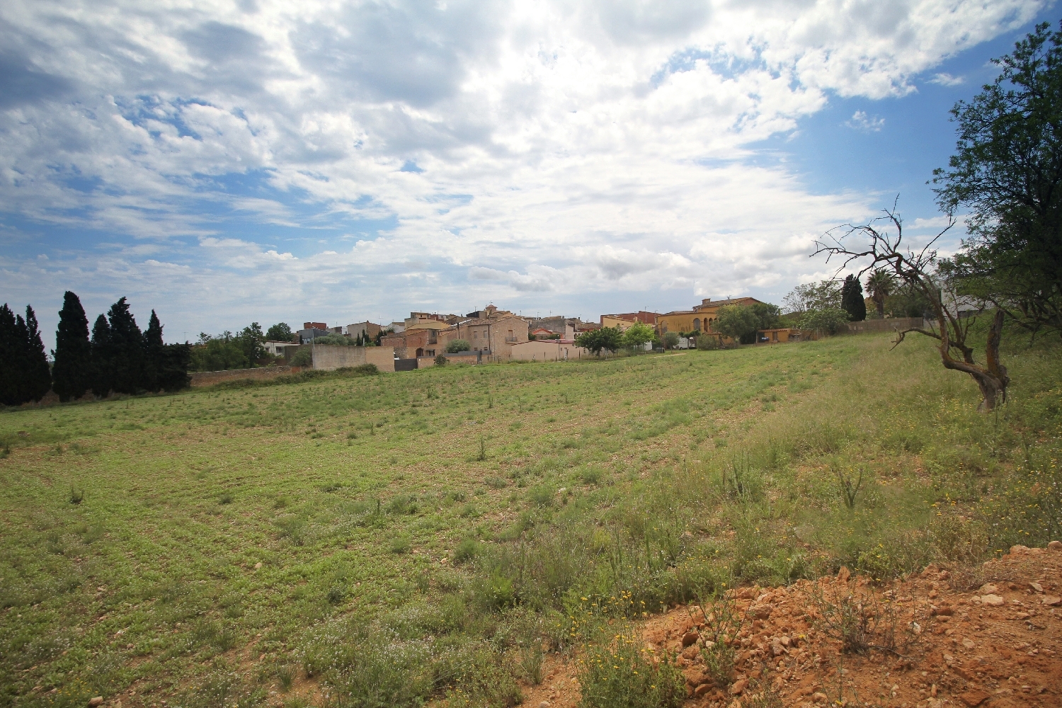 en venta terreno Albons Baix Empordà 5