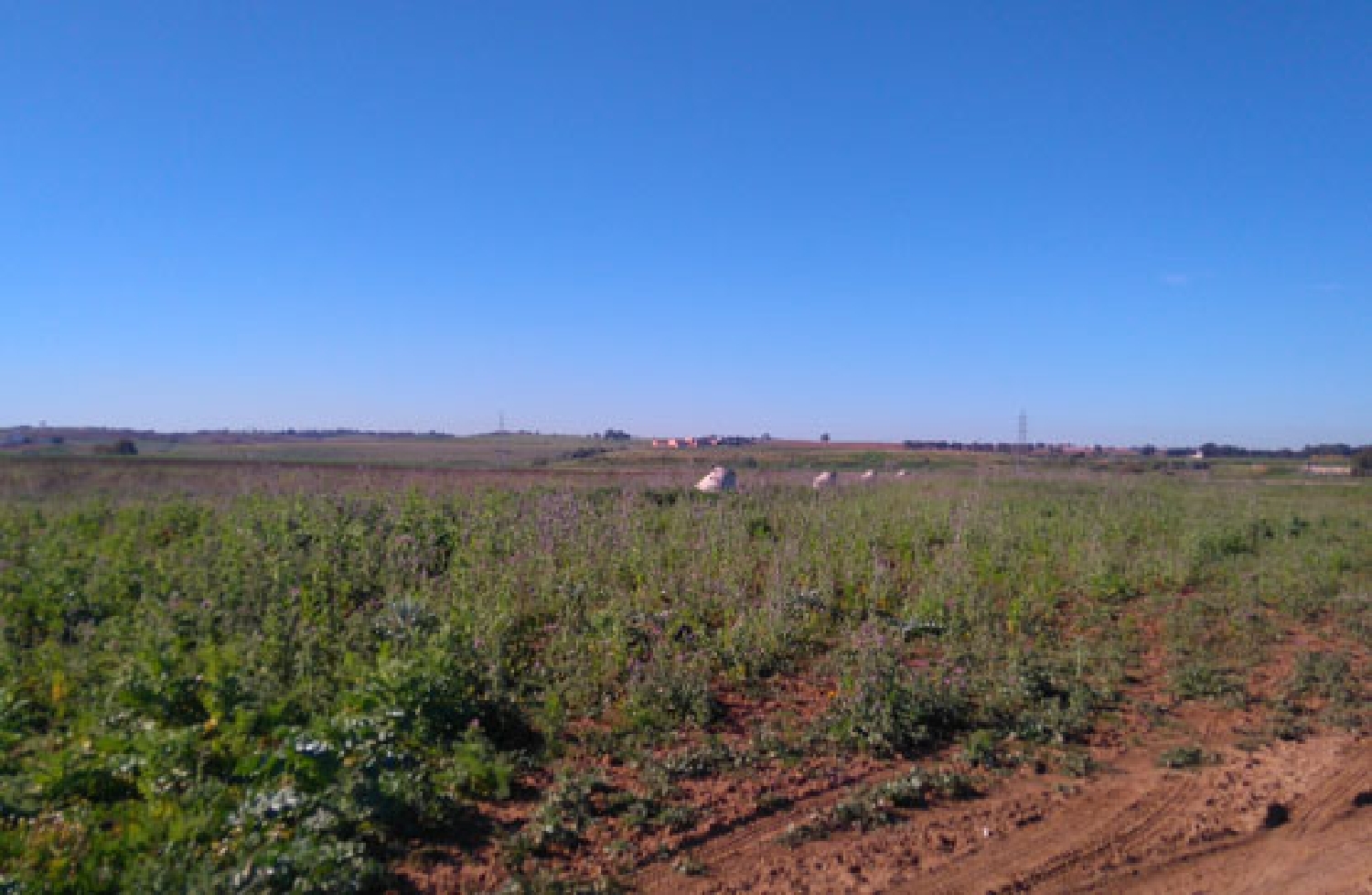  for sale plot Alcalá De Guadaira Metropolitana De Sevilla 1