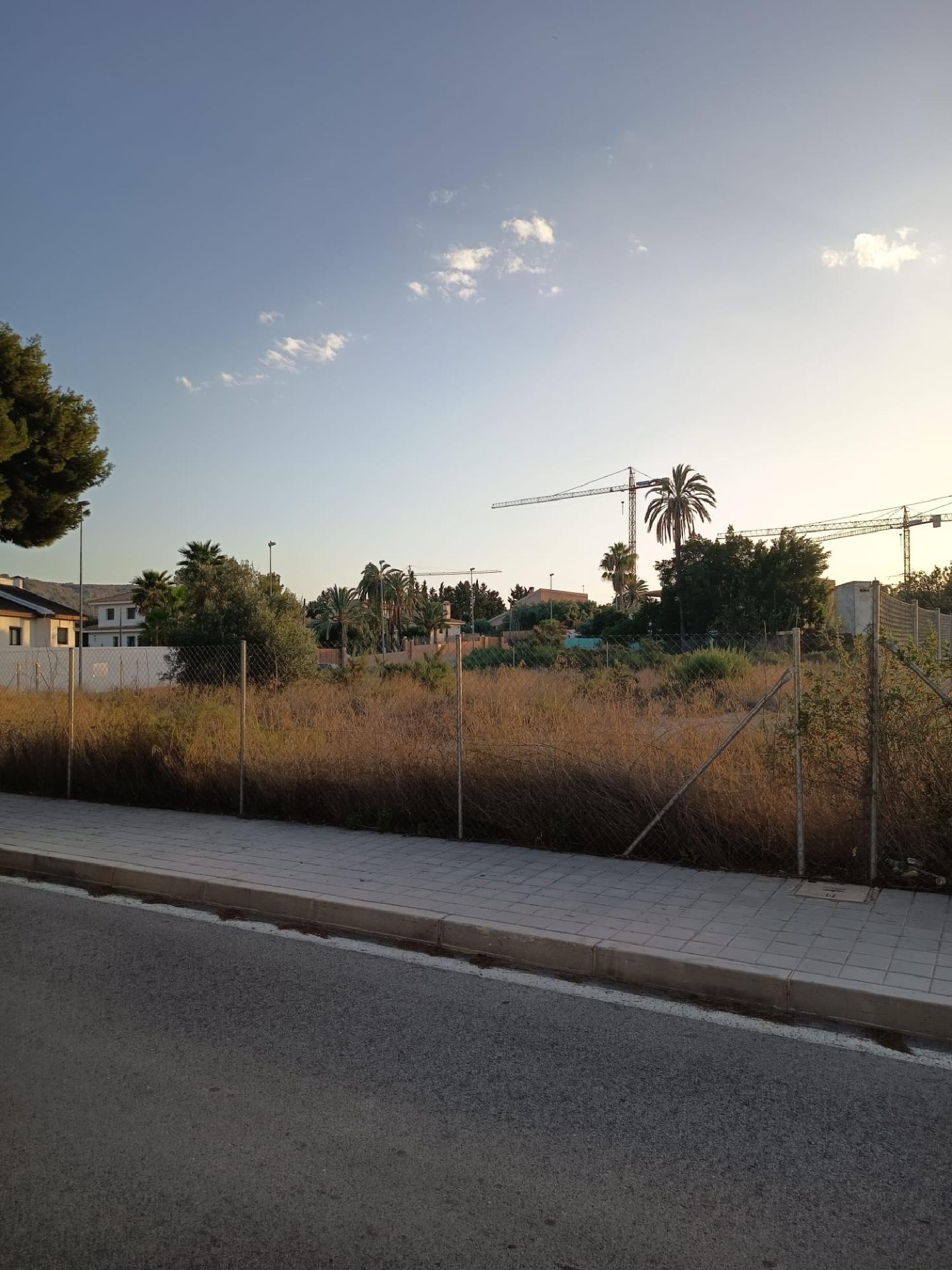 kaufen Grundstück Alicante Centro 03001 Alacantí 2