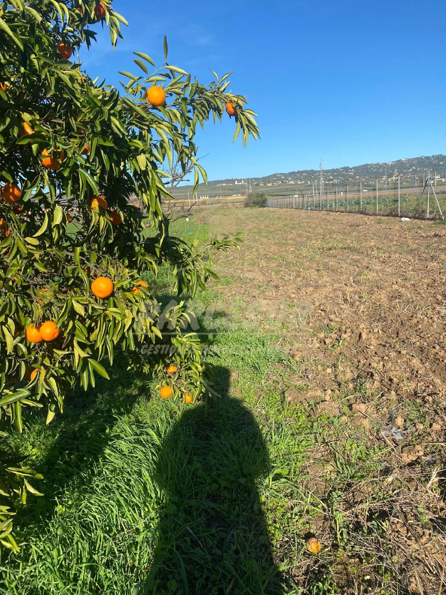 te koop perceel Almodóvar Del Río Valle Medio Del Guadalquivir 3