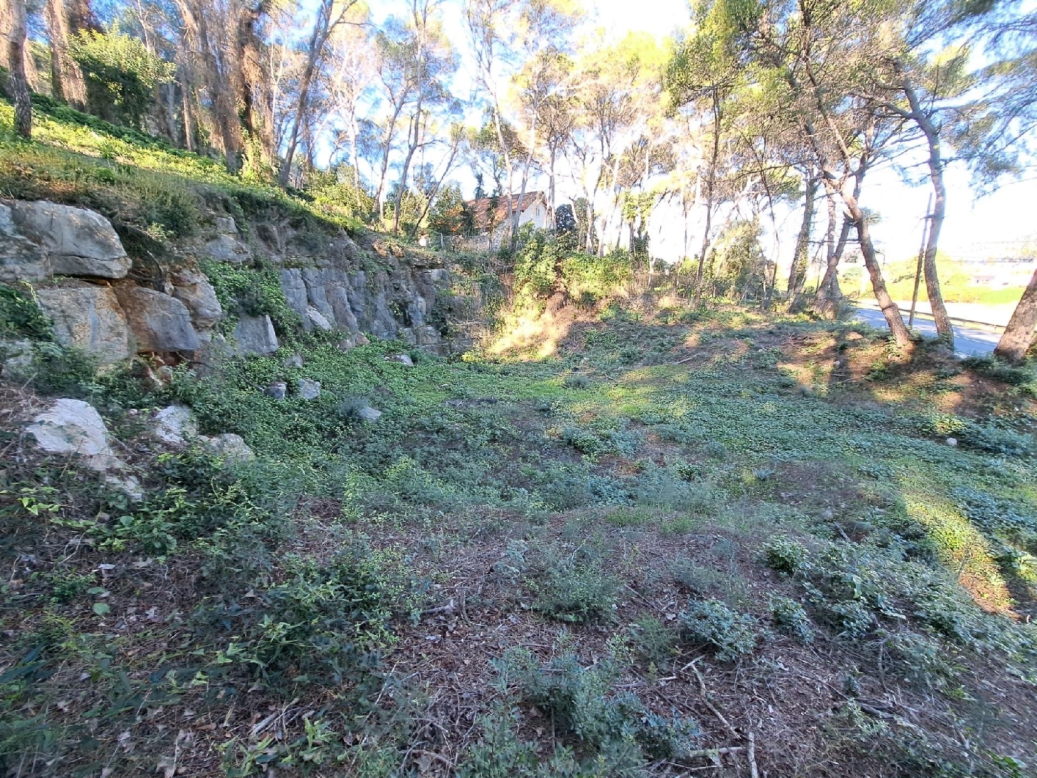  te koop perceel Alzira Ribera Alta 6