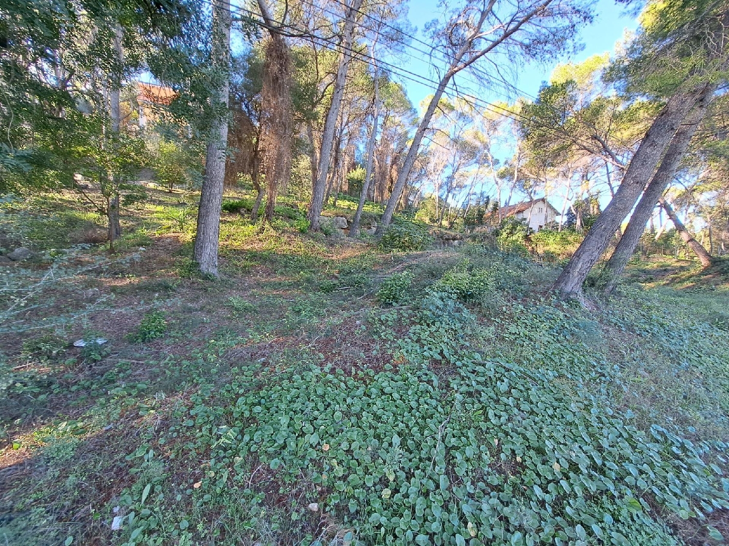  te koop perceel Alzira Ribera Alta 4