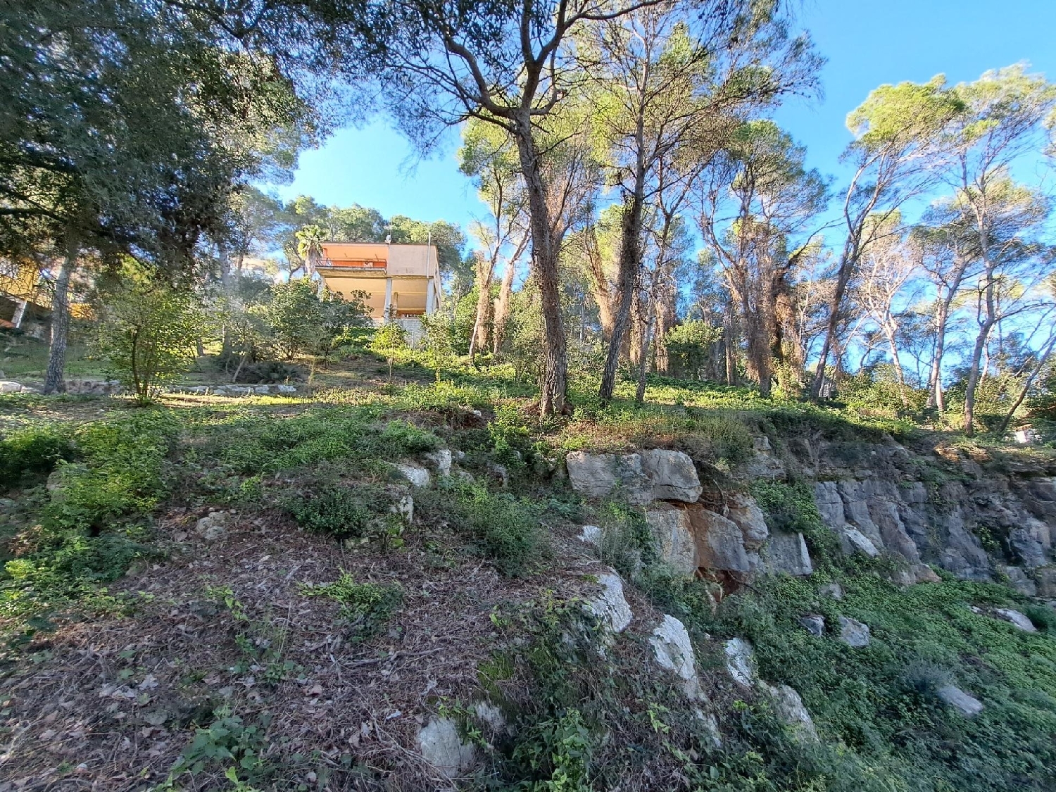  te koop perceel Alzira Ribera Alta 7