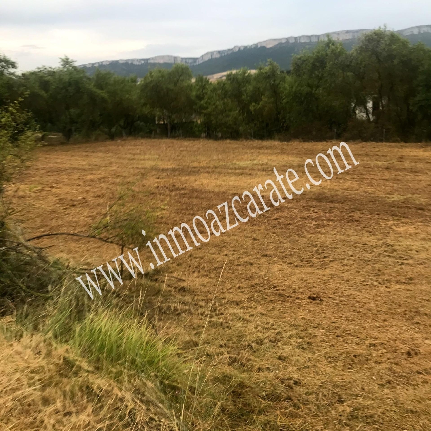  en venta terreno Arbeiza Tierra Estella 4