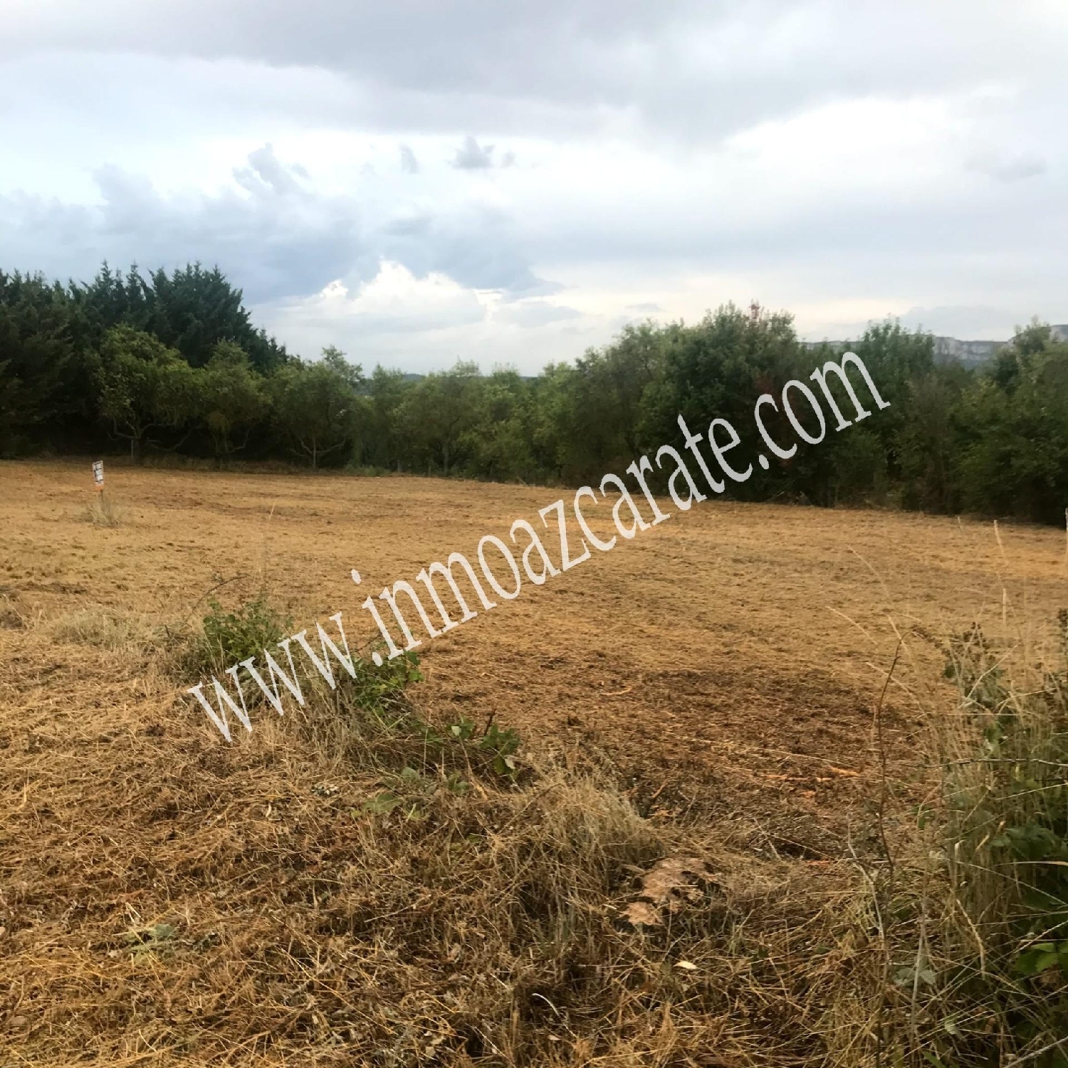  en venta terreno Arbeiza Tierra Estella 6
