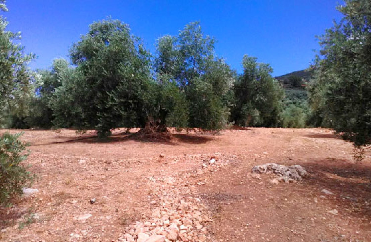 te koop perceel Arroyo Del Ojanco Sierra De Segura 2