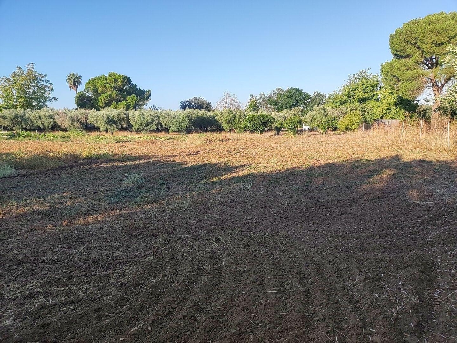  te koop perceel Badajoz Casco Antiguo-Centro Badajoz 2